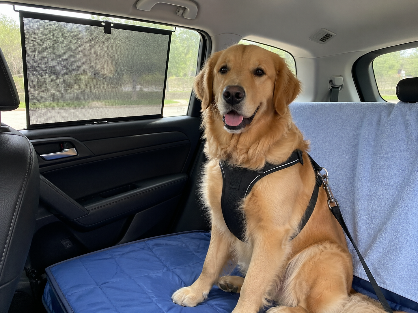 Dog resting on a cooling mat during summer travel